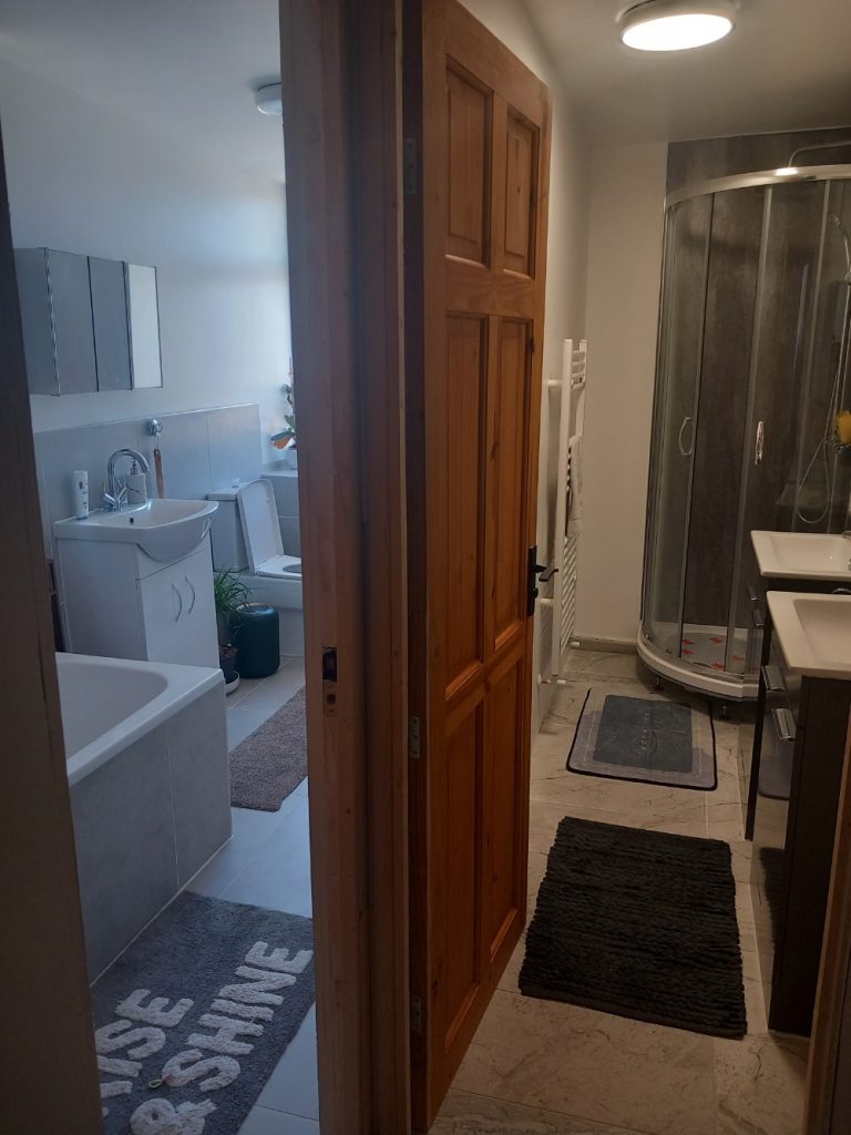 Bathroom with wooden door